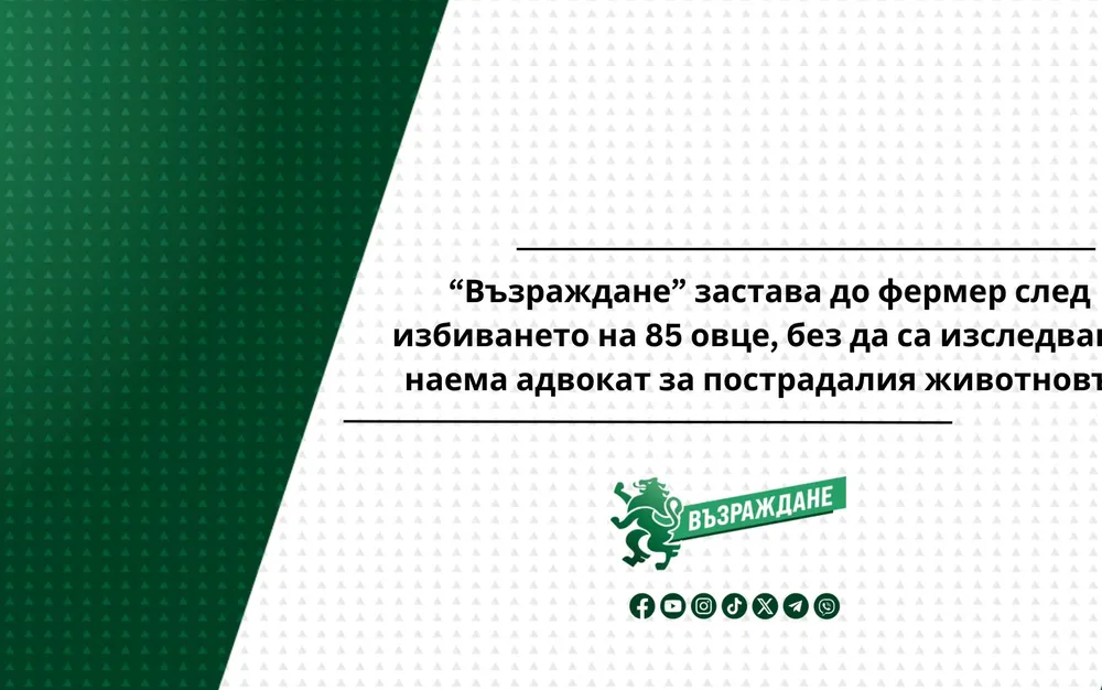 “Възраждане” застава до фермер след избиването на 85 овце, без да са изследвани, наема адвокат за пострадалия животновъд