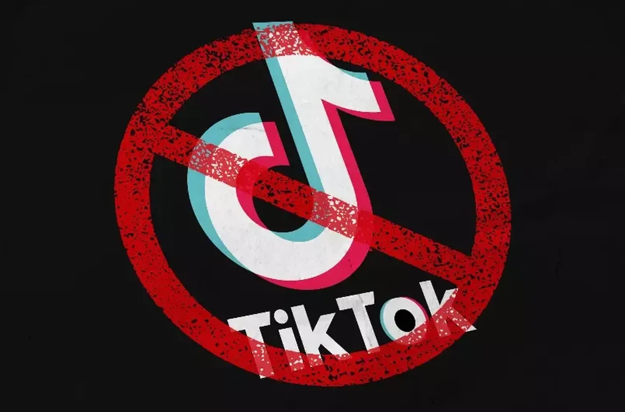 Албания ще блокира TikTok в близките дни