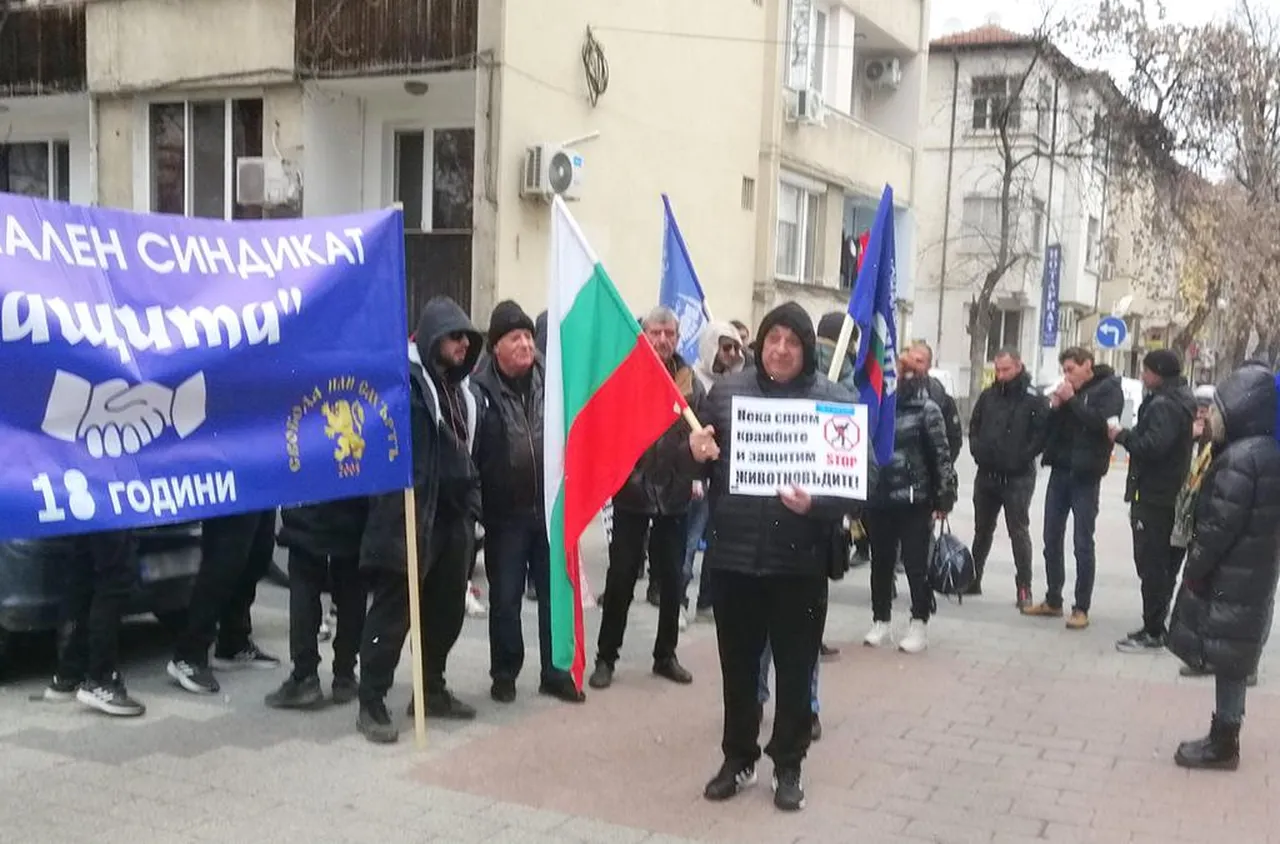 Животновъди протестират в Пловдив заради кражбите на животни